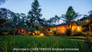 Carik Tangis Boutique Homestay - Jatiluwih - 0