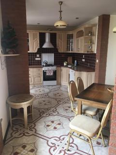 Great apartment in the city centre - Ivano-Frankivsk - 0