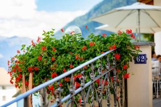 Hotel Helvetia - Müstair - 4