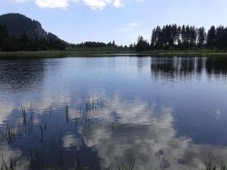 RELAX aпартаменти, Смолянски езера, вила ВЕНЕРА, к-с Маунтин Лейк - Smoljan - 6