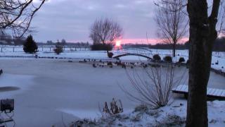 Austernfischer - Reitland - 1