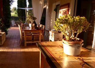 At Home In Maremma - Istia dʼOmbrone - 5