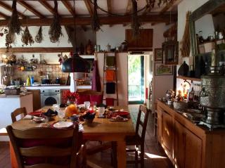 At Home In Maremma - 6