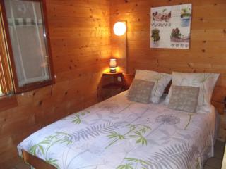 La Roche du Moulin - 8