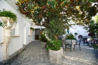 Le Magnolia - Calvi - 1