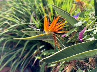 Casita Vista Valle 35 - 7