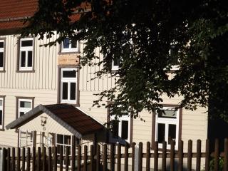 Landhaus Lautenthal - Lautenthal - 6