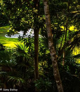Luxury Loft Resort Amenities - Akumal - 9