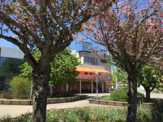 Hotell Hulingen - Hultsfred - 6