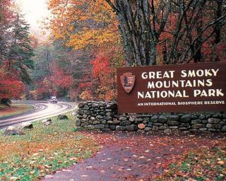 Alpine Pool Lodge - Pigeon Forge - 3