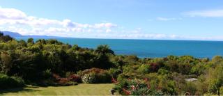 The Beach Lodge - 1