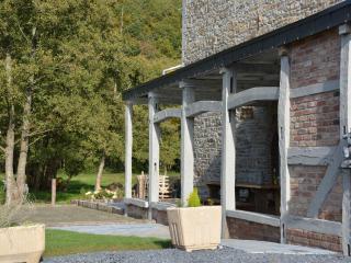 Grand Holiday Home in Érezée with Sauna - Amonines - 3