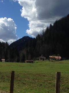 Ferienhütte in Ruhpolding - Ruhpolding - 2