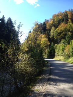 Ferienhütte in Ruhpolding - Ruhpolding - 3