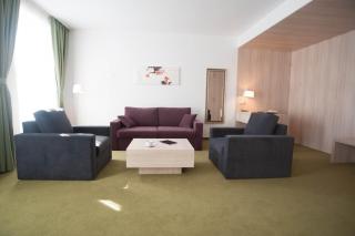 Hotel Armatti - Braşov - 1