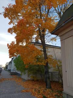 Matin ja Maijan Majatalo - 3