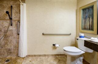 Lanier Islands Legacy Lodge - 7