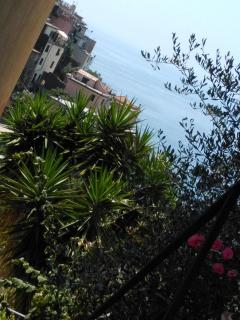 Sole Terra Mare - Corniglia - 7