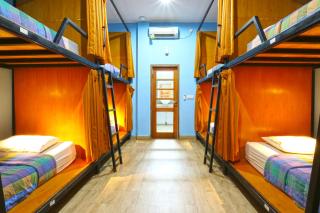 New Ubud Hostel - 0
