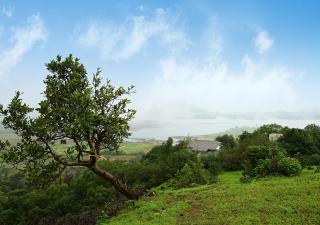 Bungalow 89 by StayVista - A hill-view villa adorned with eclectic interiors for a truly unique & captivating stay - Lonavala - 5