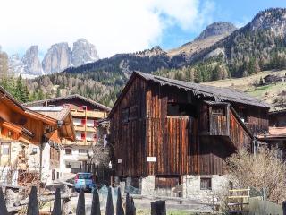 Tabià Elisa - Campitello di Fassa - 2