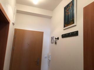 Apartman c.8 Magnolie - Třeboň - 6