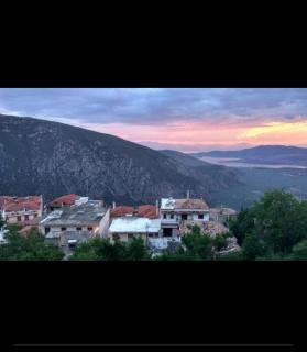 Hotel Orfeas - Delfi - 5