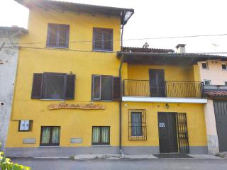Spighe Paglia e Girasole - Candia Canavese - 0