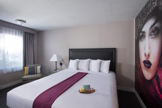 Hotel Iris - Mission Valley-San Diego Zoo-SeaWorld - San Diego - 7