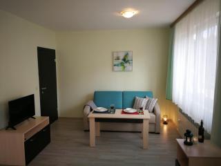 All Seasons Apartments Iglika 2 - Borovets - 7