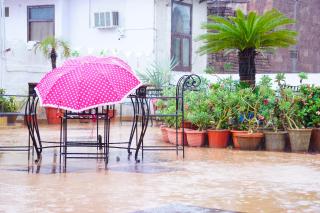 Nirvana Home - Jodhpur - 4