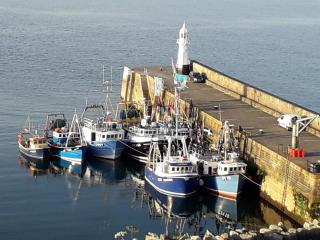 Wild Air Guest House - 2