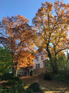 Waldhotel Bad Münstereifel - Bad Münstereifel - 3