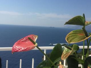Casa Rosetta - Praiano - 8