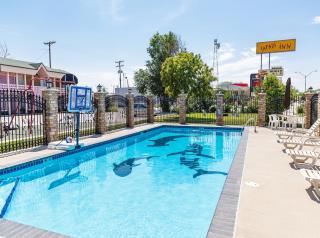 Safari Inn - Limon - 1