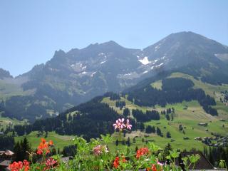 Hotel Viktoria Eden - Adelboden - 6