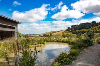 Ballymoney Cnoc - Tai Tapu - 7