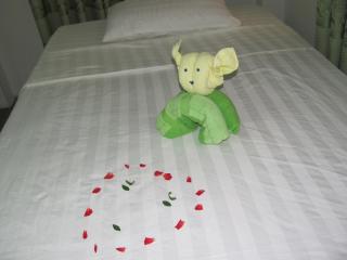 Sac Xanh Homestay - 9