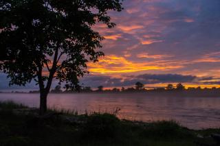 Bardiya Community Homestay - Bardia - 4