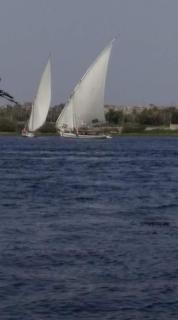 felouque avec toilettes - Aswan - 3