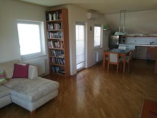 Peaceful 4-room house in Maribor's green garden - Maribor - 7