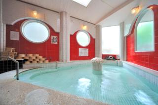 Hotel Daimatsuso - Matsushima - 6