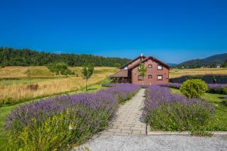 Boutique B&B Japodi - Mrkopalj - 4