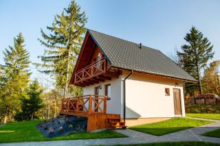 Domki na Beskidzie 1861 - Istebna - 1