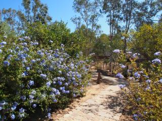 Casa Mayoral B&B Pet friendly - 3