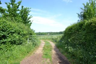 Alberts Dairy Cottage - 5