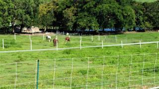La Ferme des Etangs - Rivière-Salée - 8