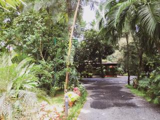 Palm Grove Service Villa - Cochin - 4