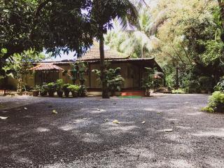 Palm Grove Service Villa - Cochin - 6