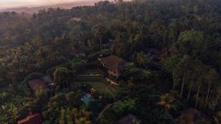 Alassari Plantation - Selemadeg - 4
